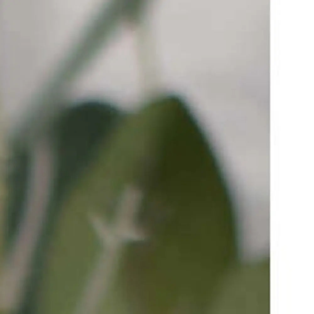 12" Farmhouse Weathered Gray Wooden Large Egg - NOBLE HOME INTERIORS