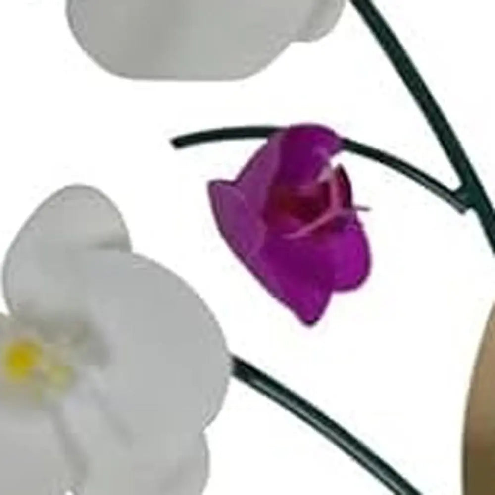 30" Purple White And Gold Metal Silent Analog Floral Novelty Wall Clock - NOBLE HOME INTERIORS