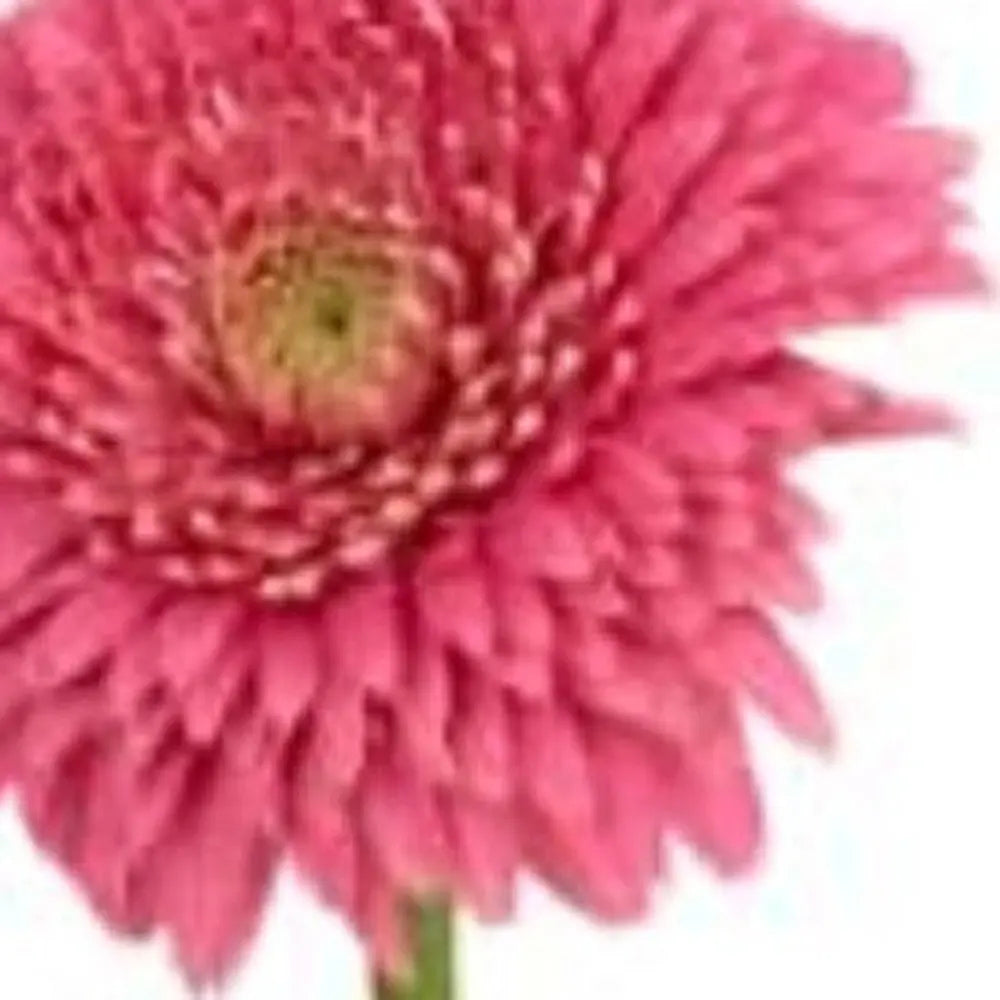 6" Clear Square Crystal Glass Table Vase HomeRoots