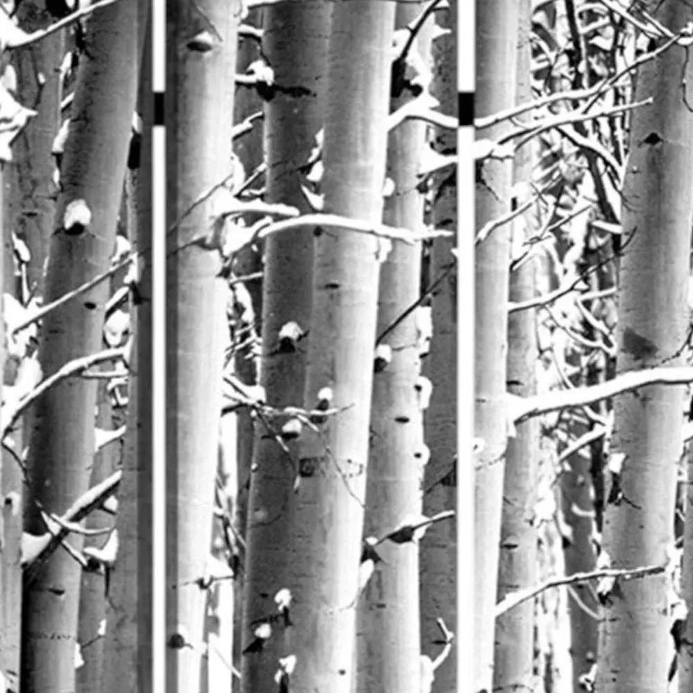 48" X 72" Gray And White Wood Canvas Birch Screen - NOBLE HOME INTERIORS