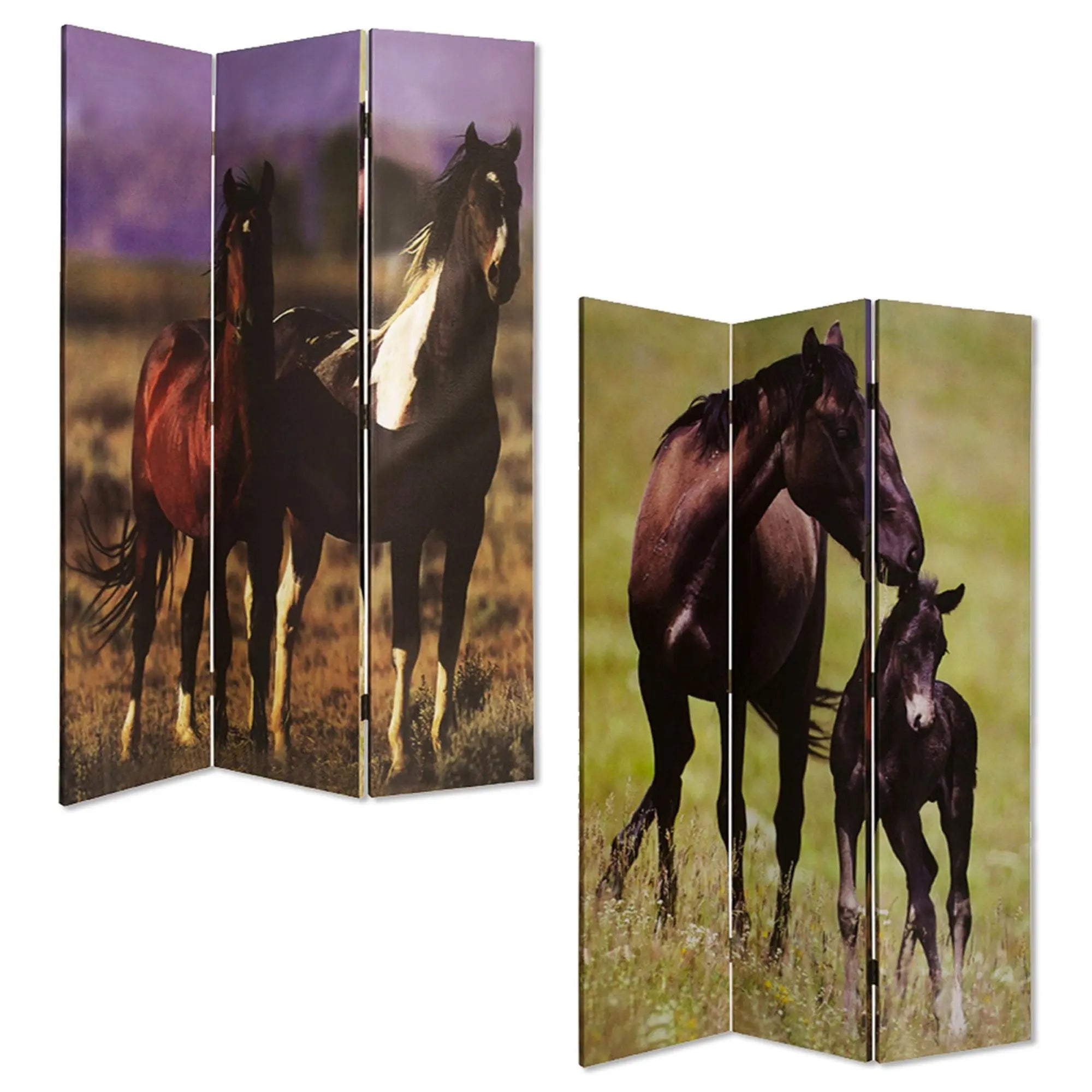 48" X 72" Multi Color Canvas Screen With Nurturing Mare - NOBLE HOME INTERIORS