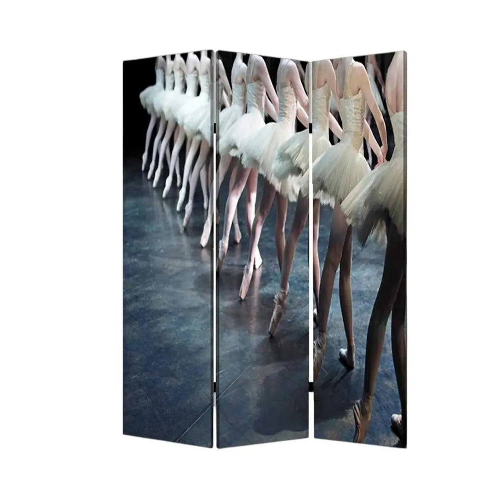 48" X 72" Multi Color Wood Canvas Ballet Screen - NOBLE HOME INTERIORS