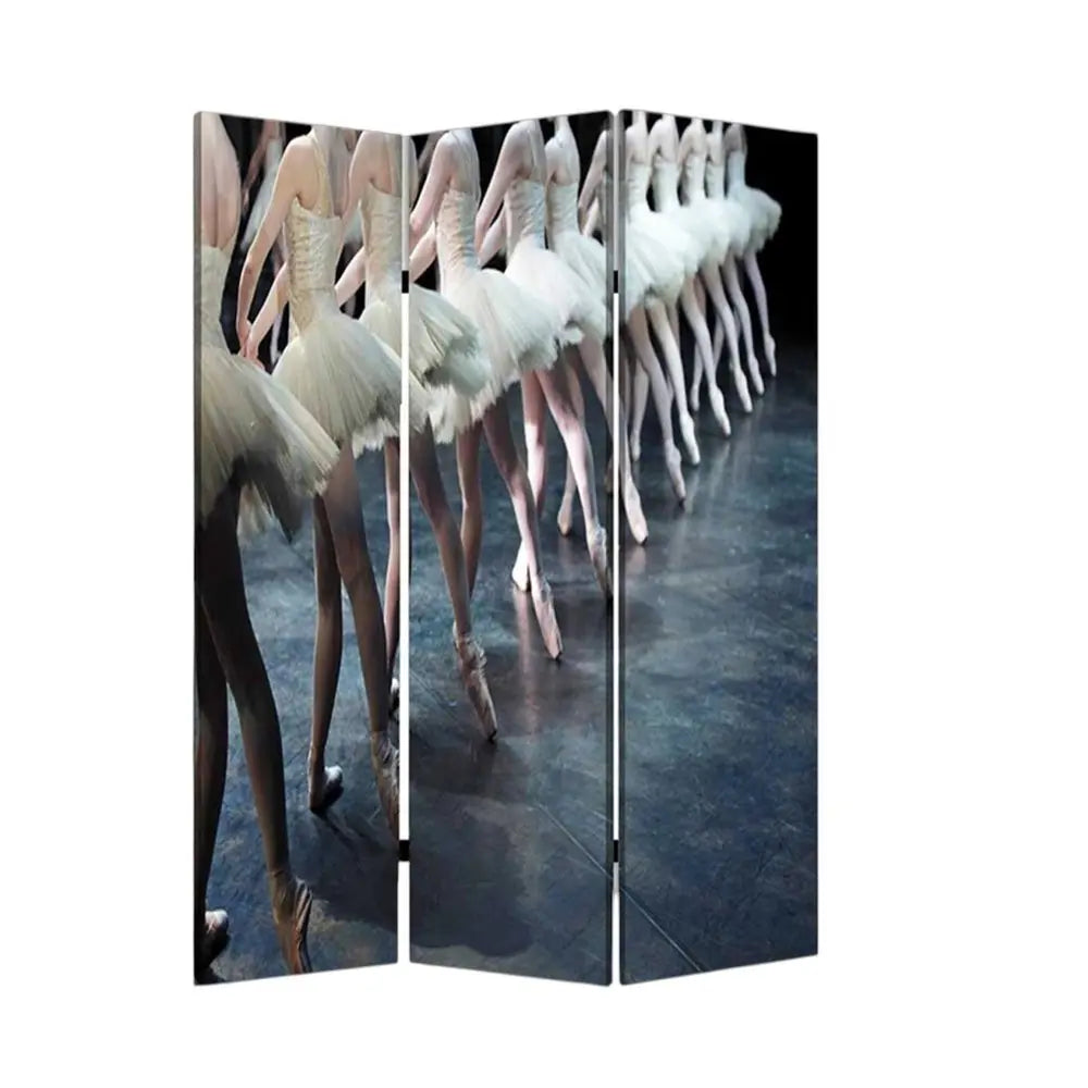 48" X 72" Multi Color Wood Canvas Ballet Screen - NOBLE HOME INTERIORS