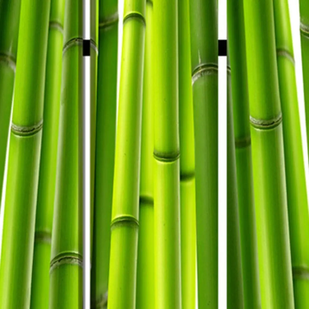 48" X 72" Multi Color Wood Canvas Bamboo Screen - NOBLE HOME INTERIORS