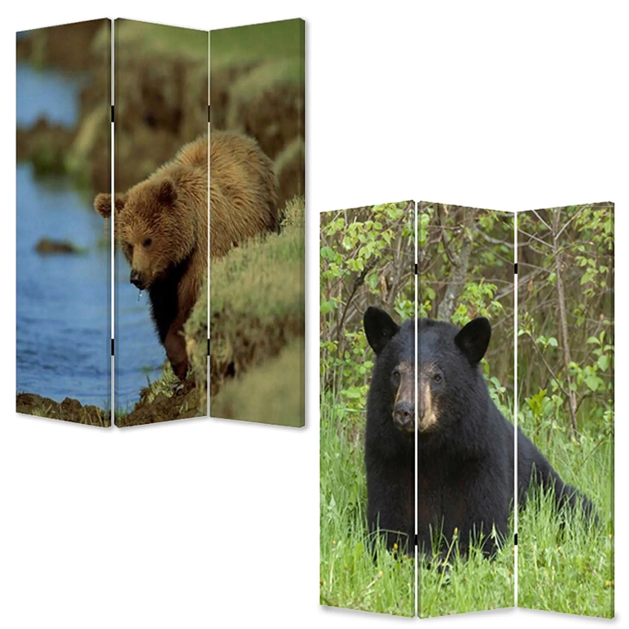 48" X 72" Multi Color Wood Canvas Bear Screen - NOBLE HOME INTERIORS