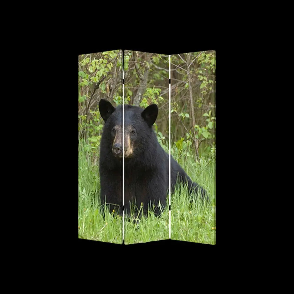 48" X 72" Multi Color Wood Canvas Bear Screen - NOBLE HOME INTERIORS