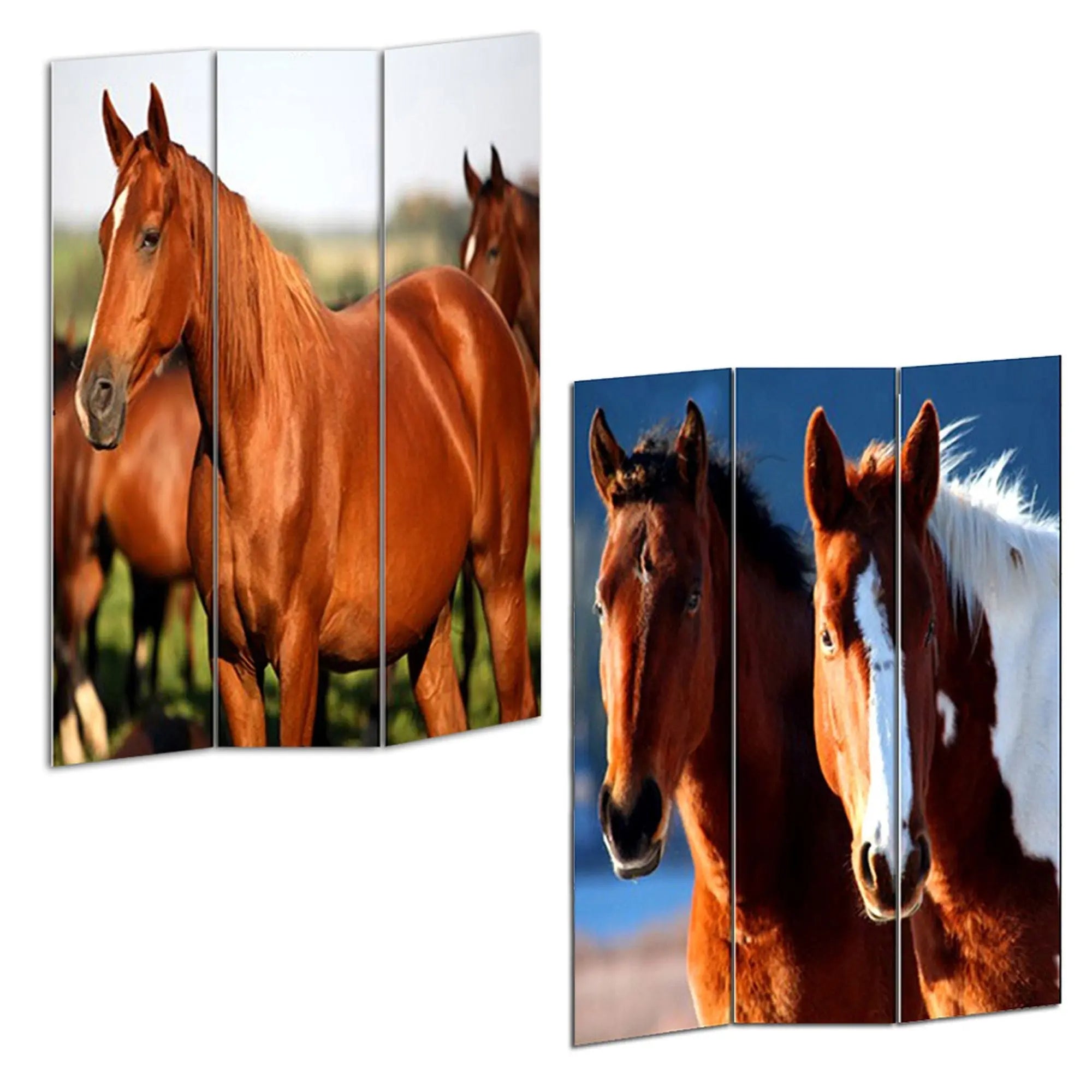 48" X 72" Multi Color Wood Canvas Horse Screen - NOBLE HOME INTERIORS