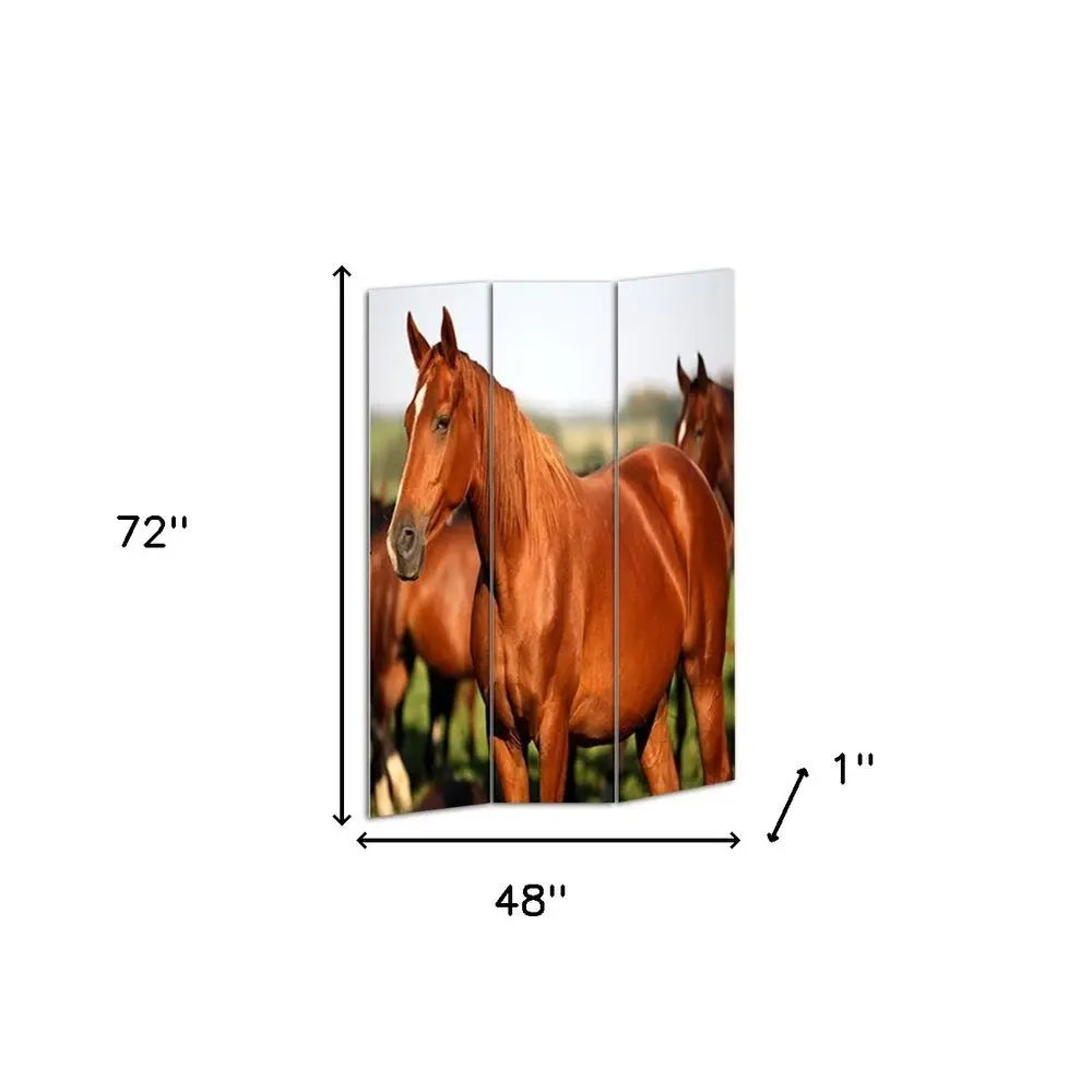 48" X 72" Multi Color Wood Canvas Horse Screen - NOBLE HOME INTERIORS