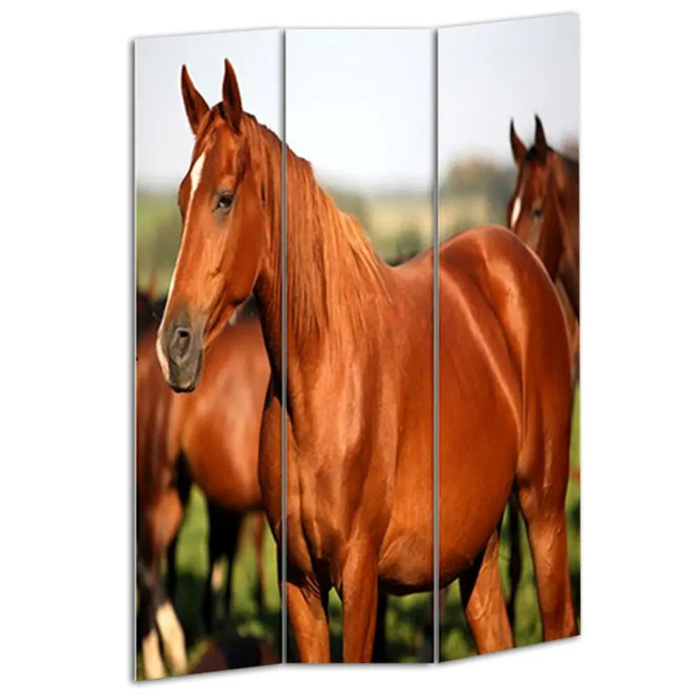48" X 72" Multi Color Wood Canvas Horse Screen - NOBLE HOME INTERIORS