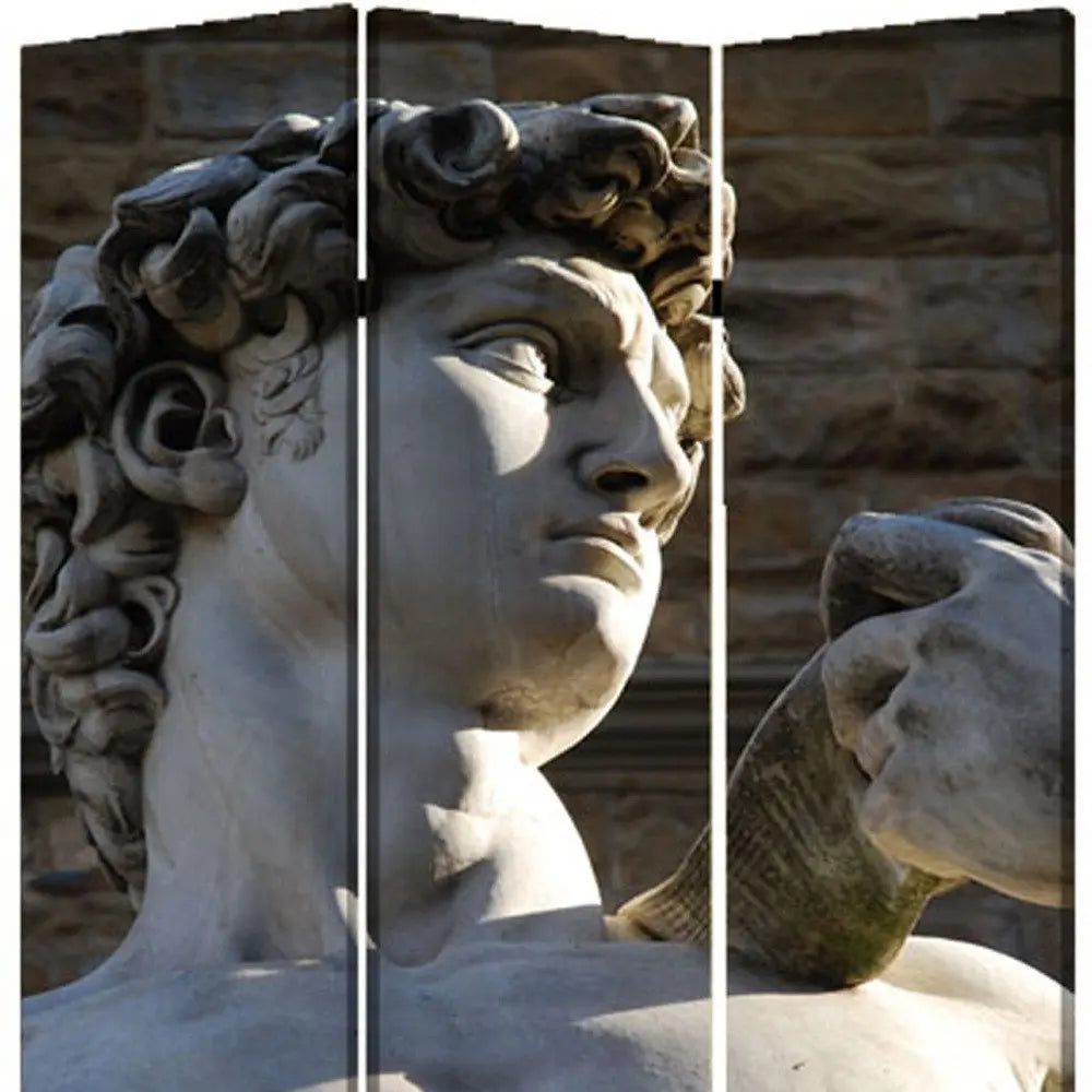 48" X 72" Multi Color Wood Canvas Rome Screen - NOBLE HOME INTERIORS