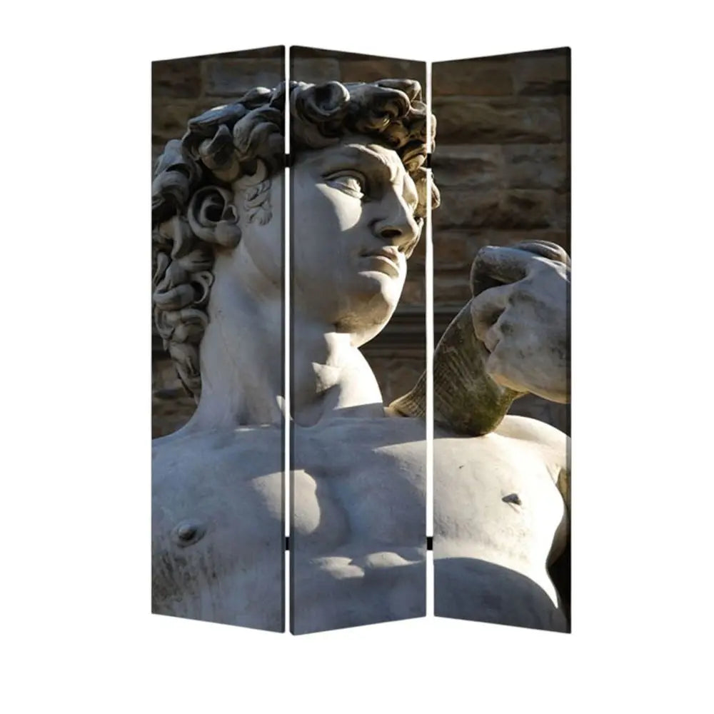 48" X 72" Multi Color Wood Canvas Rome Screen - NOBLE HOME INTERIORS