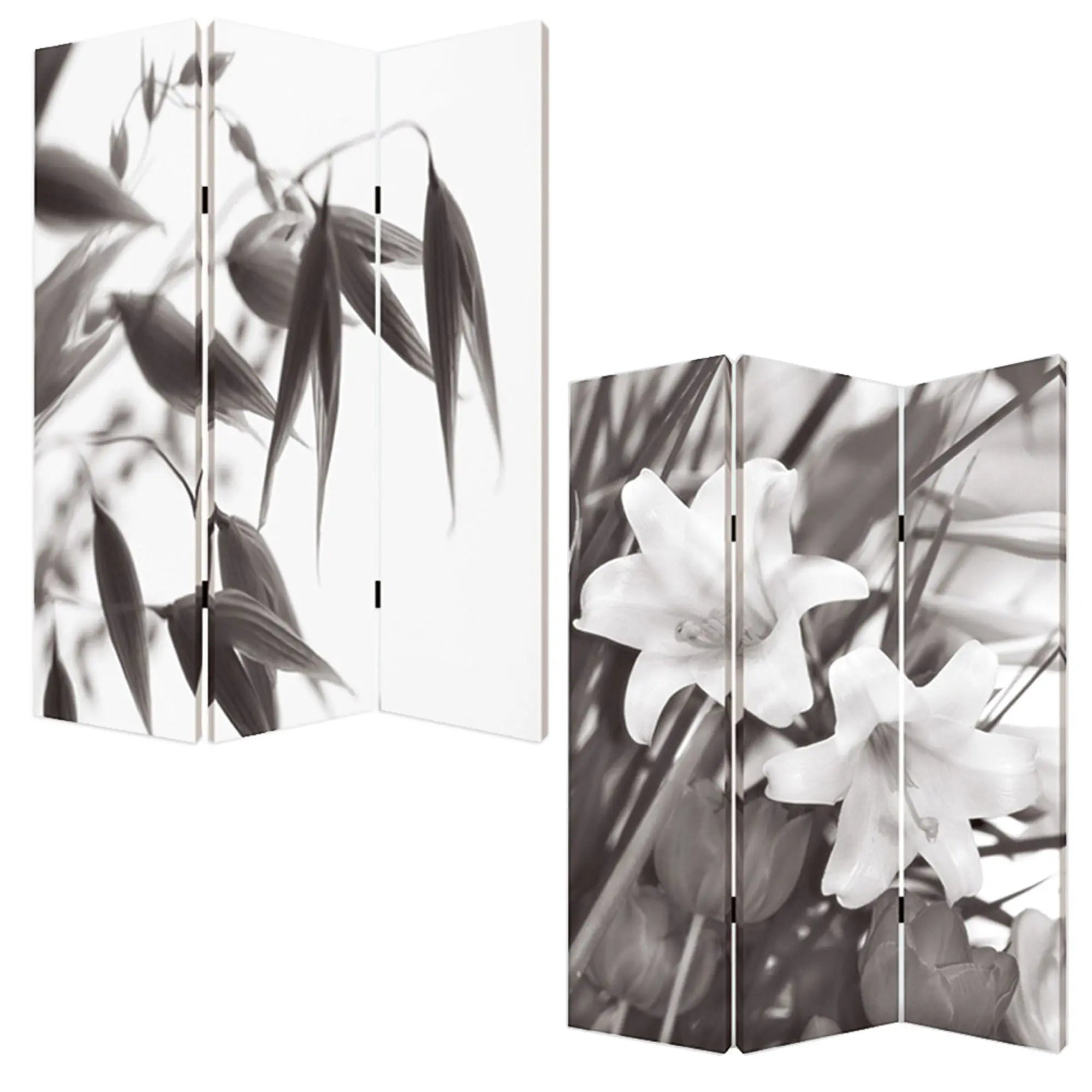 48" X 72" Multi Color Wood Canvas Screen - NOBLE HOME INTERIORS