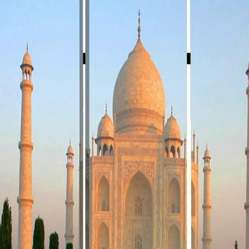 48" X 72" Multi Color Wood Canvas Taj Mahal Screen - NOBLE HOME INTERIORS