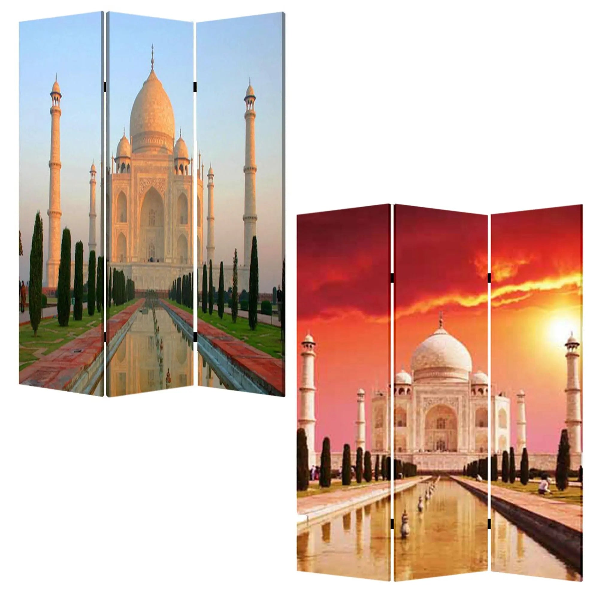 48" X 72" Multi Color Wood Canvas Taj Mahal Screen - NOBLE HOME INTERIORS