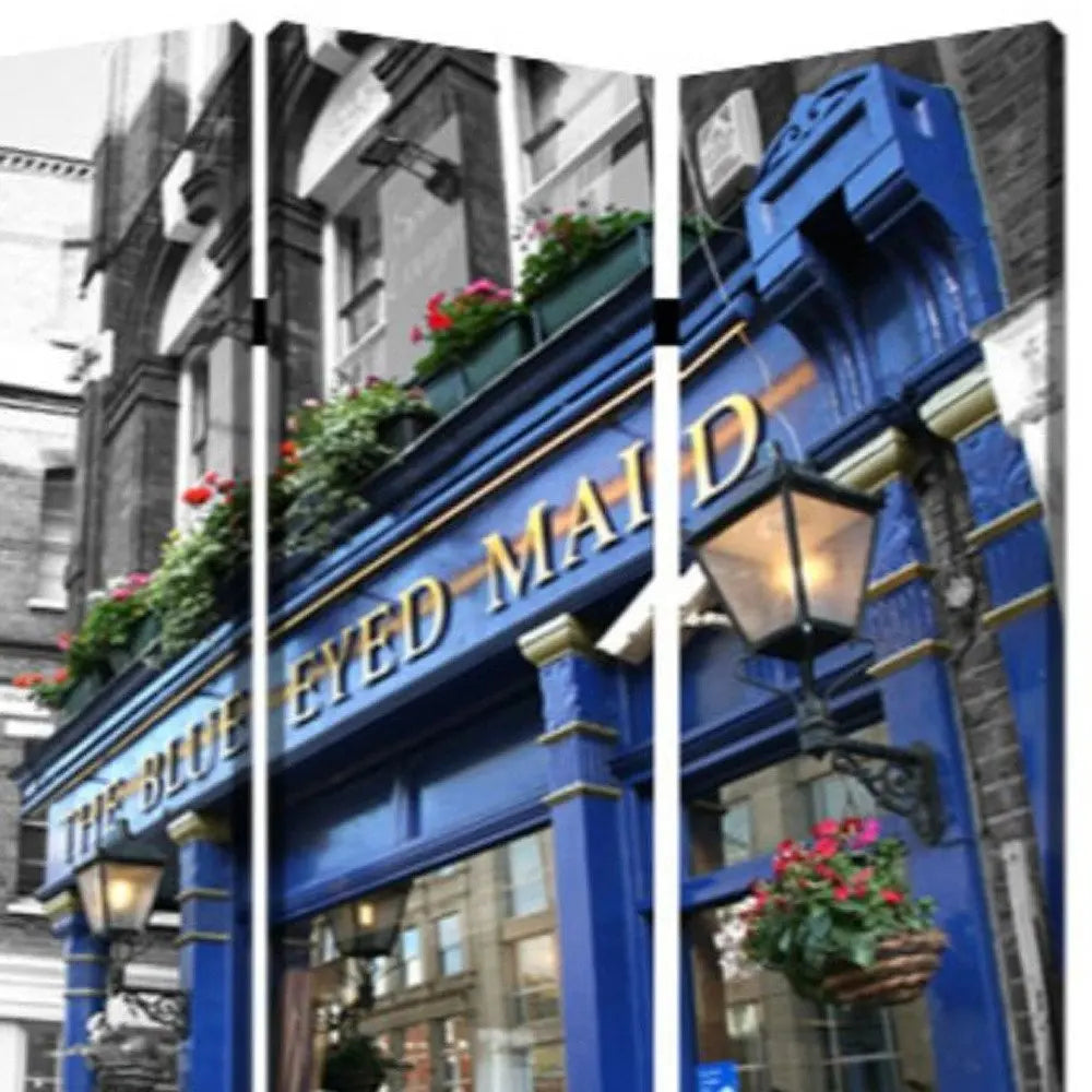 48" X 72" Multi Color Wood Canvas The Blue Eyed Screen - NOBLE HOME INTERIORS