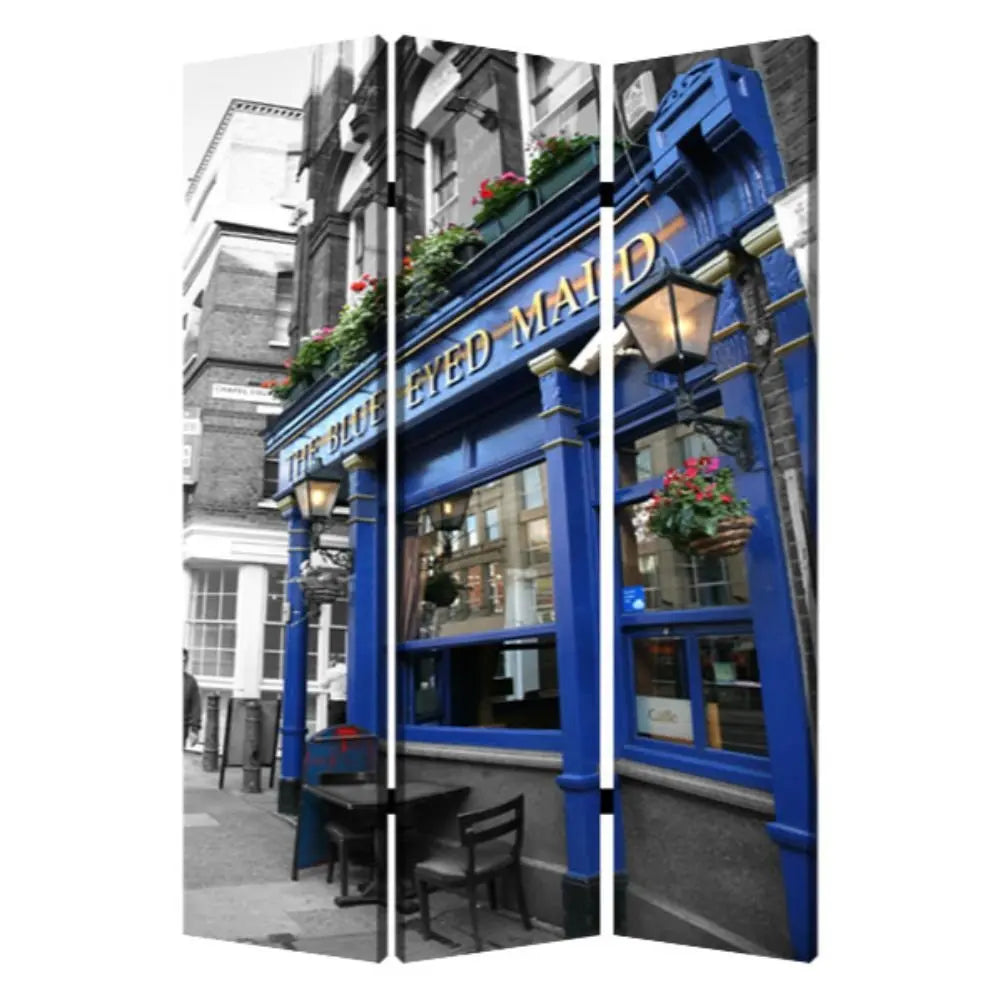 48" X 72" Multi Color Wood Canvas The Blue Eyed Screen - NOBLE HOME INTERIORS