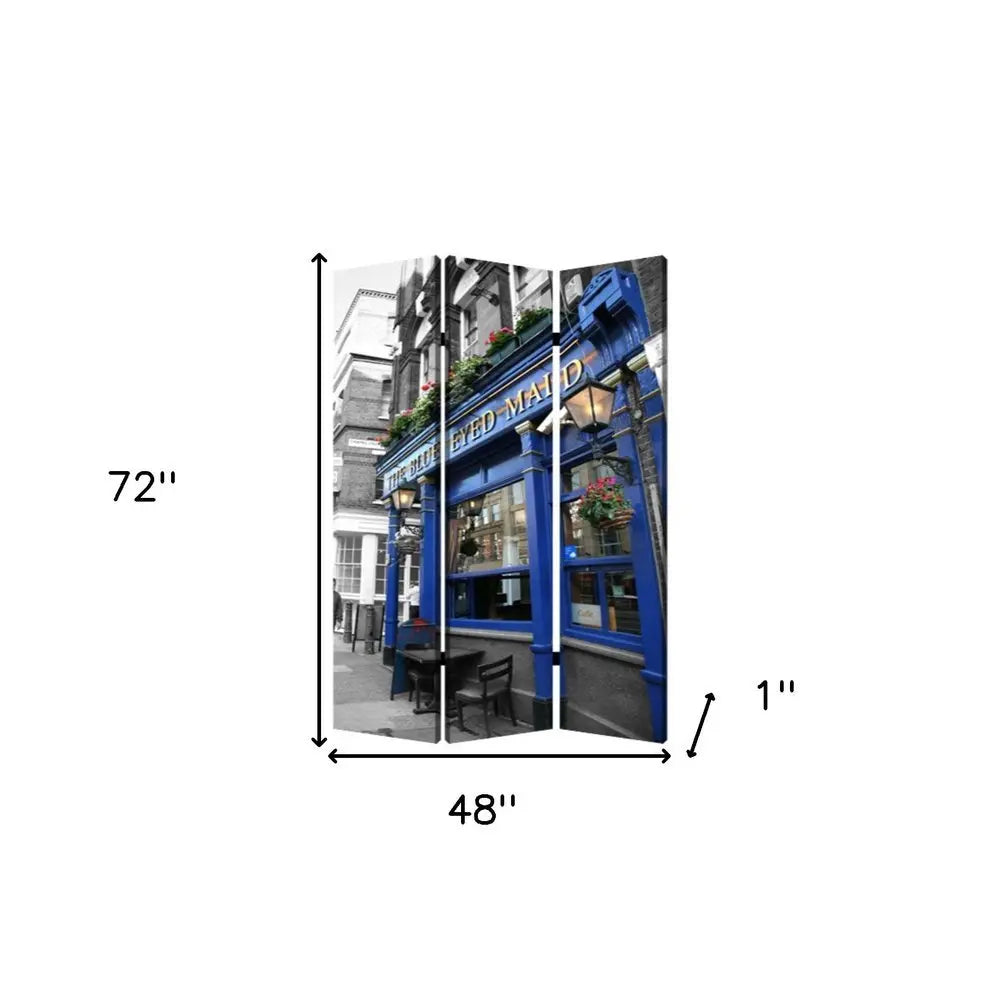48" X 72" Multi Color Wood Canvas The Blue Eyed Screen - NOBLE HOME INTERIORS