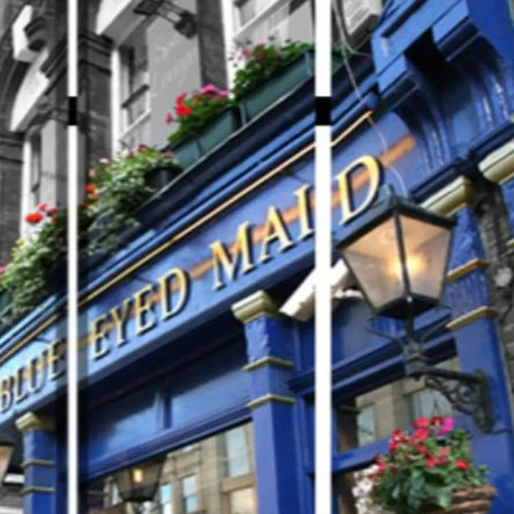 48" X 72" Multi Color Wood Canvas The Blue Eyed Screen - NOBLE HOME INTERIORS