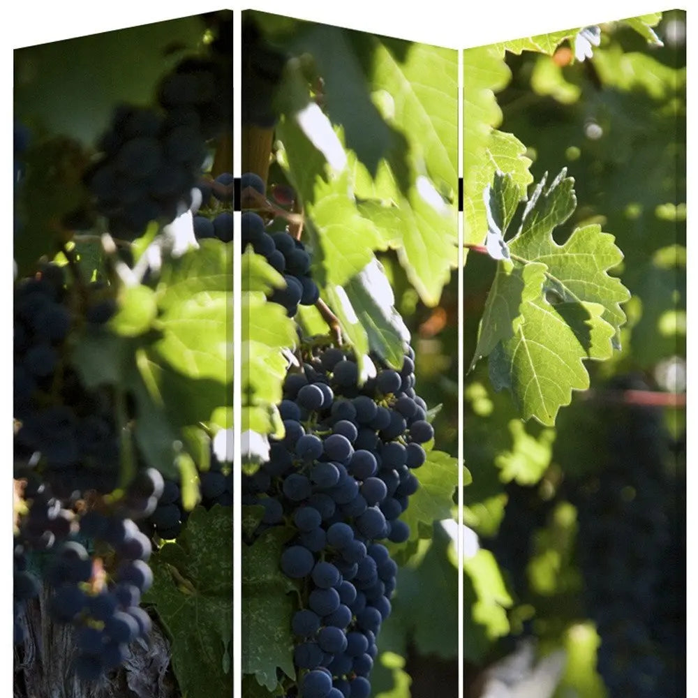 48" X 72" Multi Color Wood Canvas Wine Country Screen - NOBLE HOME INTERIORS