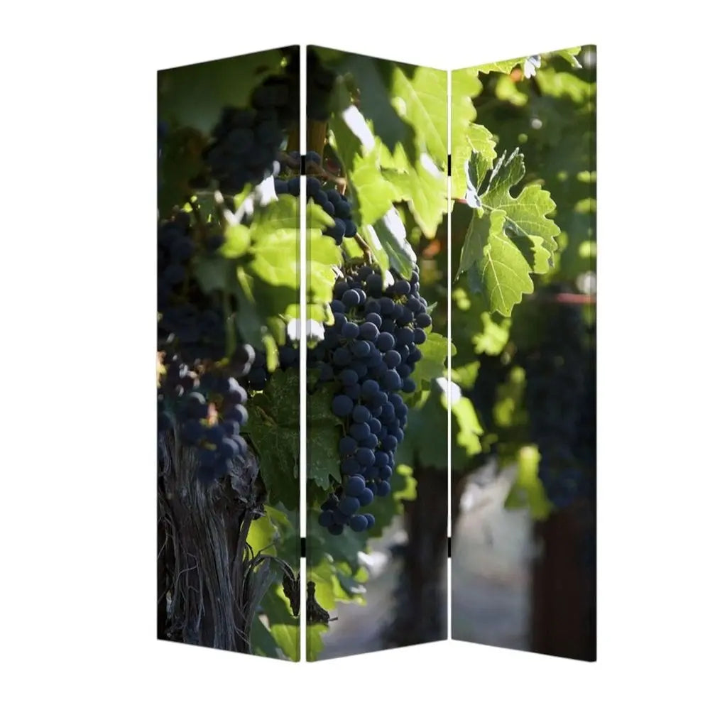 48" X 72" Multi Color Wood Canvas Wine Country Screen - NOBLE HOME INTERIORS
