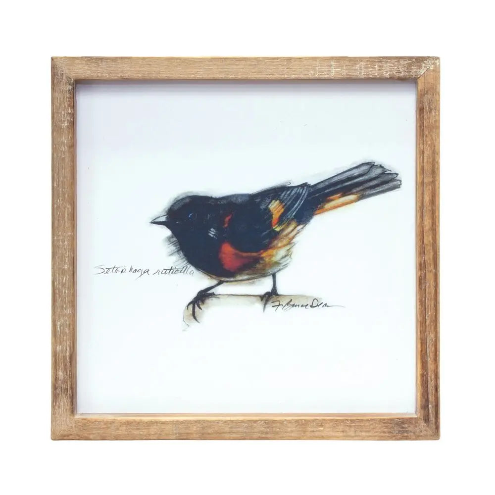 Set of Four Brown Bird Solid Wood Square Framed Art HomeRoots