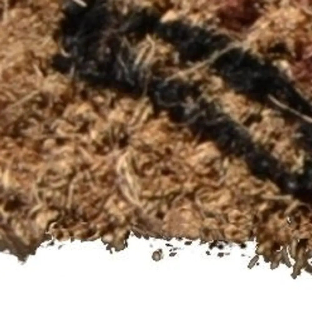 18" X 30" Brown and Black Coir Nice Underwear Outdoor Door Mat HomeRoots