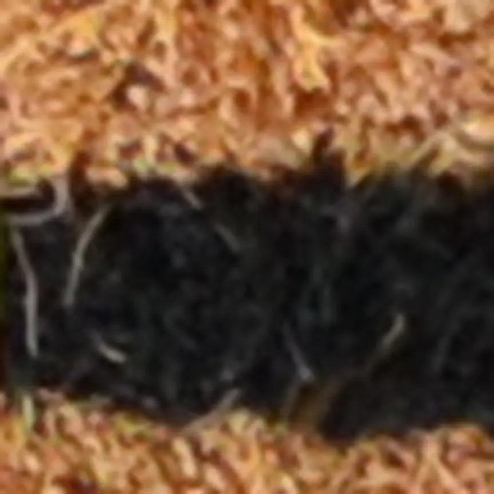 20" X 30" Brown and Black Coir Animal Print Outdoor Door Mat