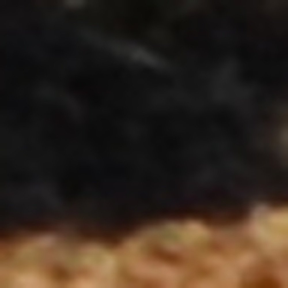 Felpudo exterior de fibra de coco a rayas marrón y negro de 24" x 60"