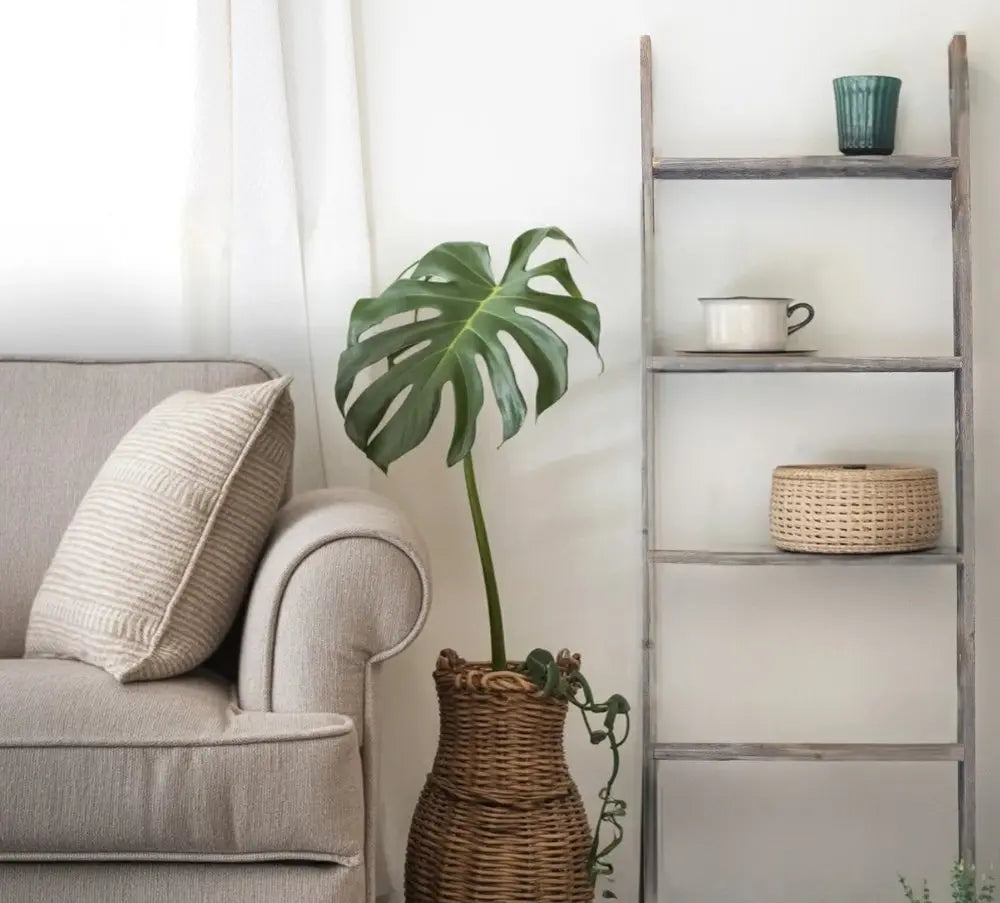 60" Gray Rustic Five Step Wood Ladder Shelf - NOBLE HOME INTERIORS