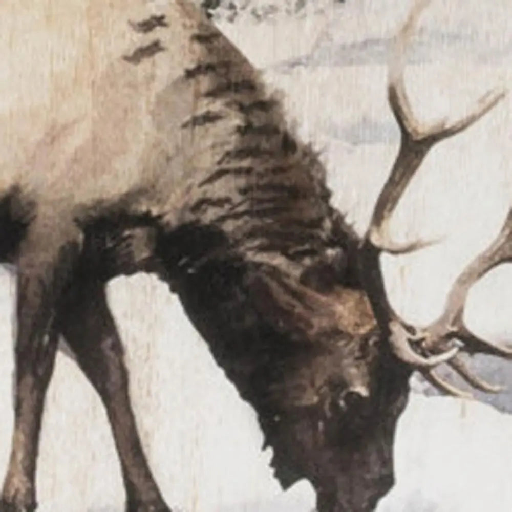 14" X 19" Brown And White Wood Winter Reindeer Lodge Hanging Wall Decor HomeRoots