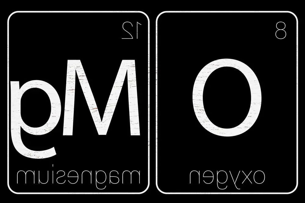 12" X 12" Black And White OMG Oxygen and Magnesium Wood Wall Decor HomeRoots
