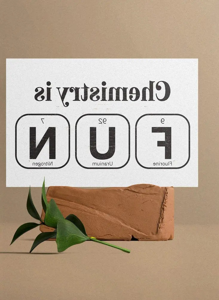 12" X 12" White And Black Chemistry is FUN: Fluorine, Uranium & Nitrogen Wood Wall Decor HomeRoots