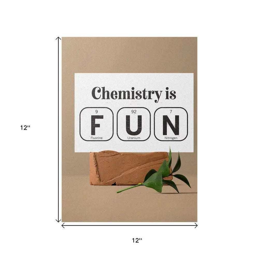 12" X 12" White And Black Chemistry is FUN: Fluorine, Uranium & Nitrogen Wood Wall Decor HomeRoots