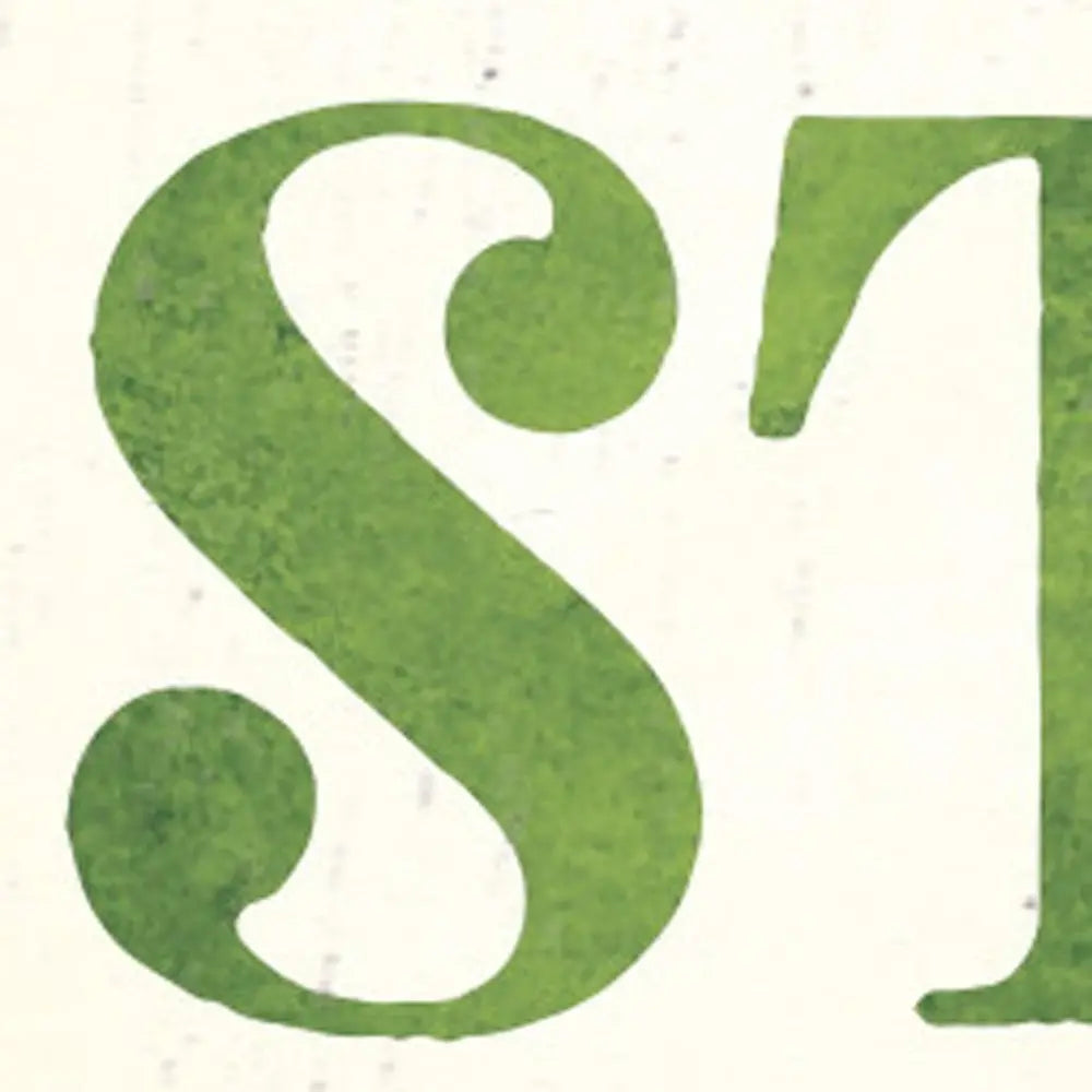 12" X 12" White And Green I'm Stuck On You with Hedgehogs Canvas Wall Decor HomeRoots