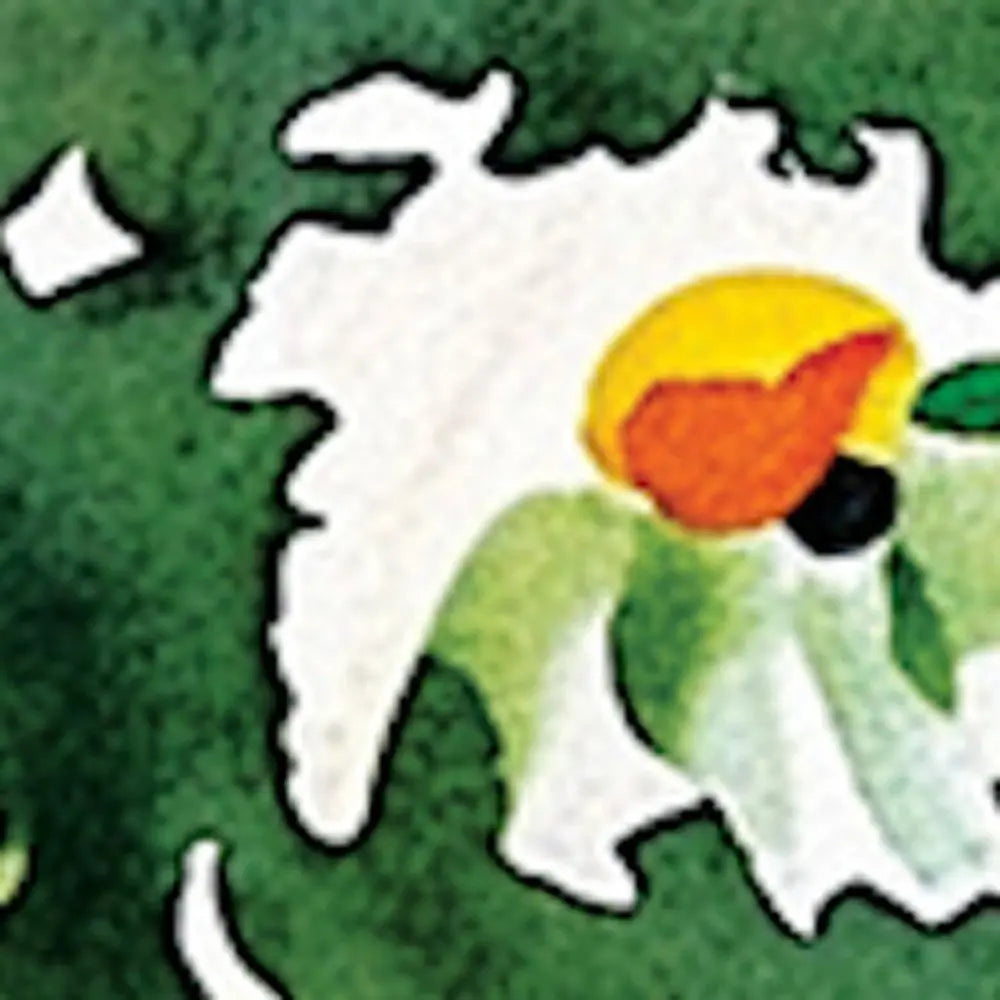 10" X 32" White Green And Red Flower Floral Wood Hanging Wall Decor HomeRoots