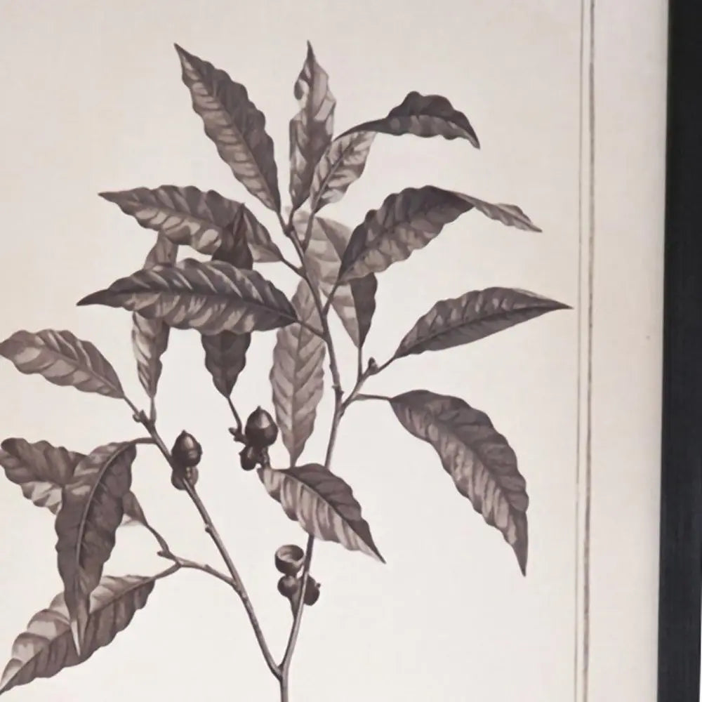 Set of Two Black And White Flower Canvas Square Framed Art HomeRoots