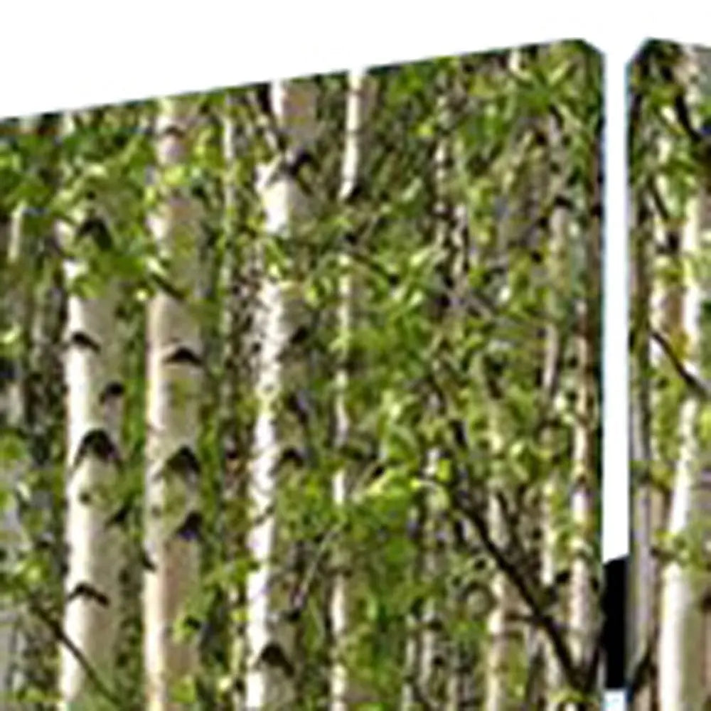 84" X 84" Multi Color Wood Canvas Prolific Forrest Screen - NOBLE HOME INTERIORS