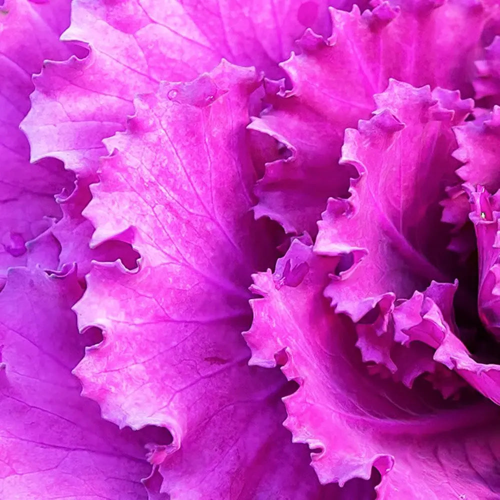 94.5 X 1 X 31.5 Acrylic Painting - NOBLE HOME INTERIORS