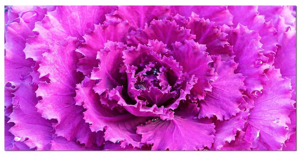 94.5 X 1 X 31.5 Acrylic Painting - NOBLE HOME INTERIORS