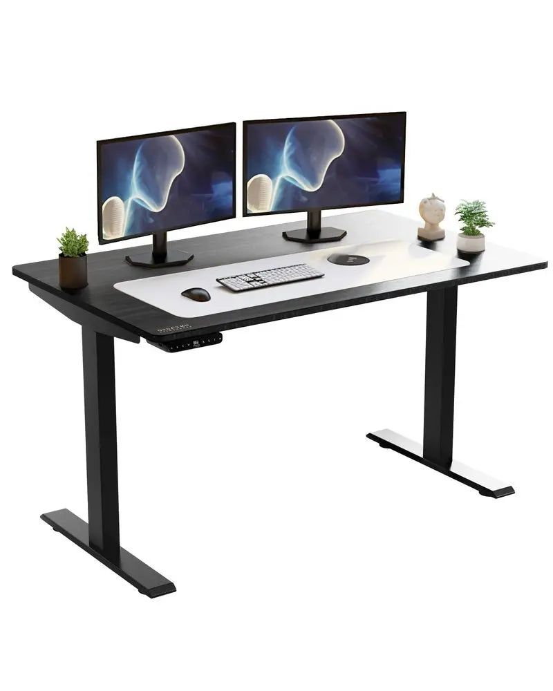 Black on Black 52" Bamboo Dual Motor Electric Office Adjustable Computer Desk - NOBLE HOME INTERIORS