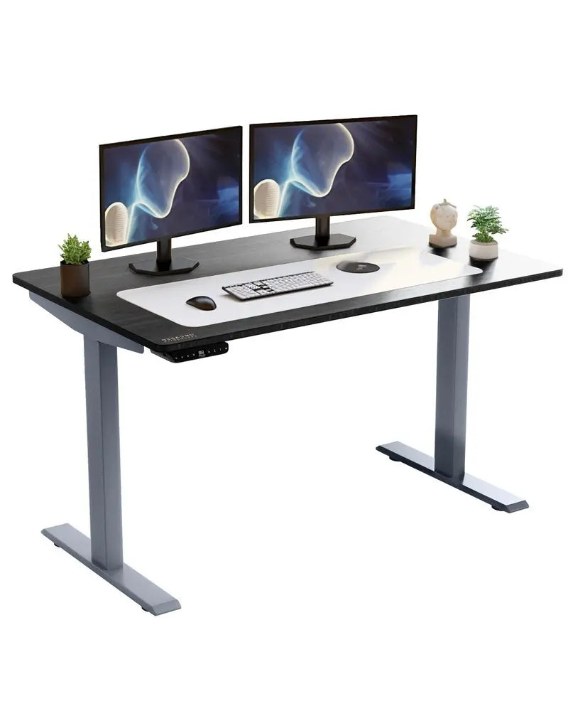 Gray and Black 45" Bamboo Dual Motor Electric Office Adjustable Computer Desk - NOBLE HOME INTERIORS