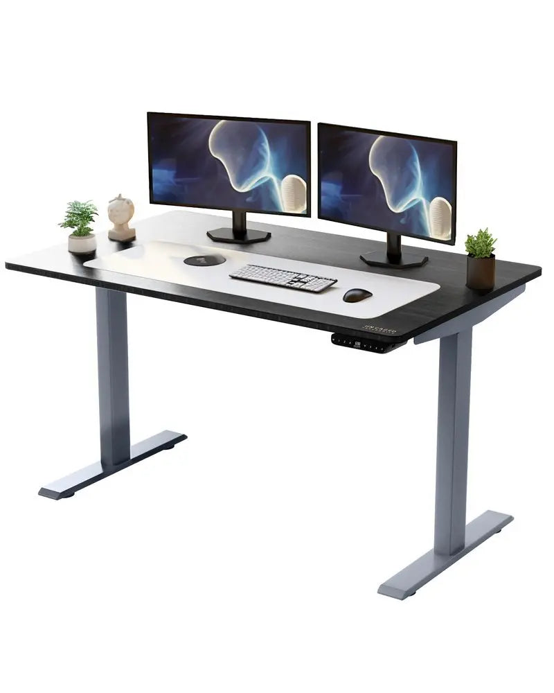 Gray and Black 45" Bamboo Dual Motor Electric Office Adjustable Computer Desk - NOBLE HOME INTERIORS