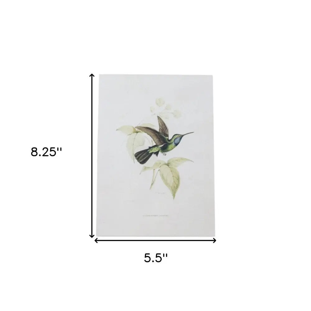 Set of Four White Hummingbird Art - NOBLE HOME INTERIORS