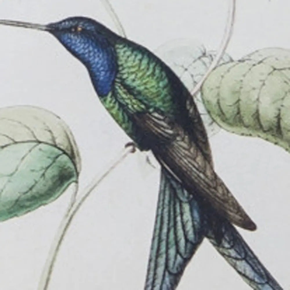 Set of Four White Hummingbird Art - NOBLE HOME INTERIORS