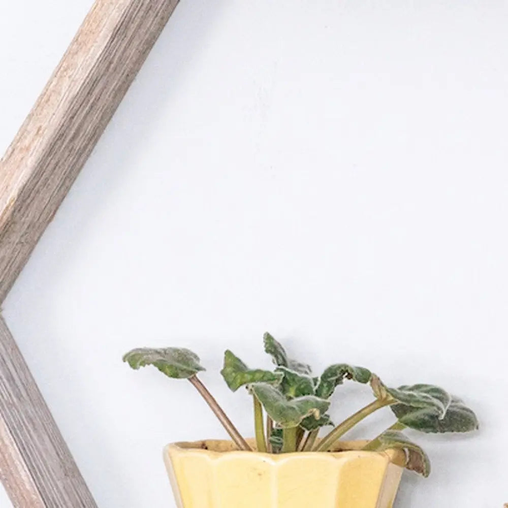 Set of Three Gray Wood Hexagon Wood Open Box Shelves - NOBLE HOME INTERIORS